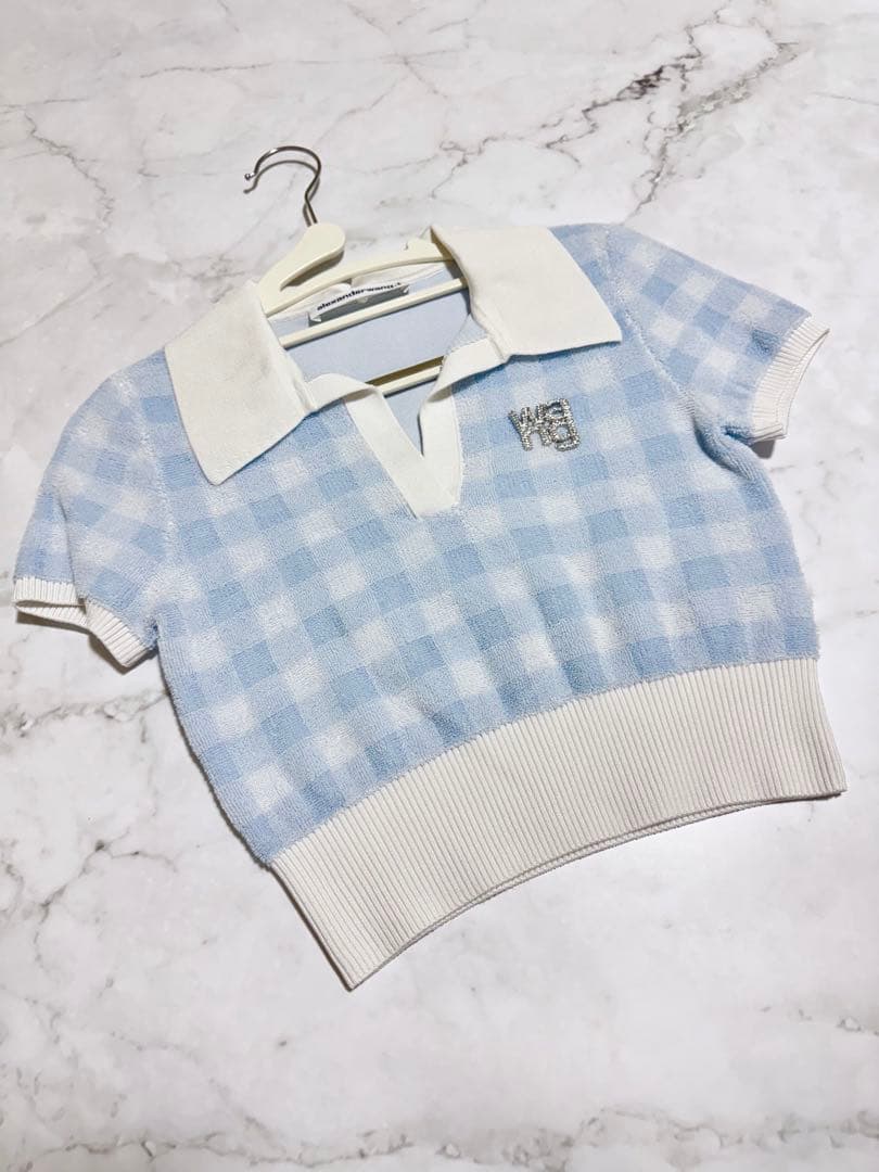 初売り‼️【新春限定価格】Alexander Wang クロップドトップス　美品