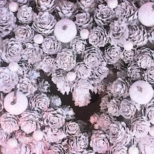 ハートリース ホワイト松かさ＆リンゴ