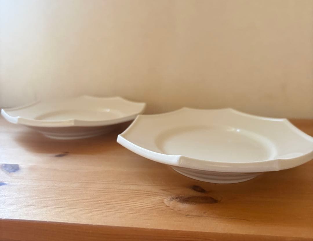 石川隆児 Oval Octagonal Plate M White 2枚セット
