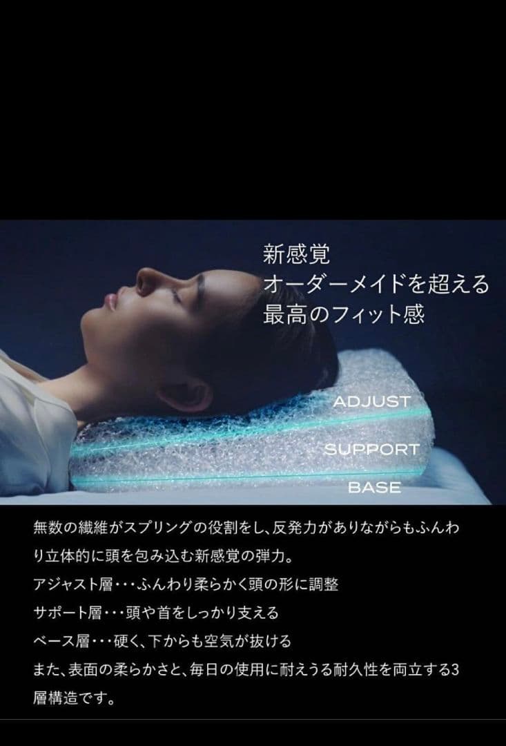 ブレインスリープ　ピロー（9グラデーション） ピローカバー2枚　スタンダード　枕