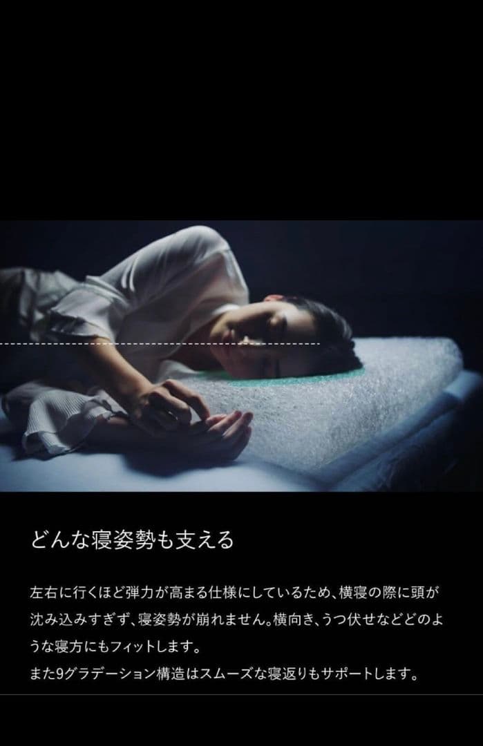 ブレインスリープ　ピロー（9グラデーション） ピローカバー2枚　スタンダード　枕