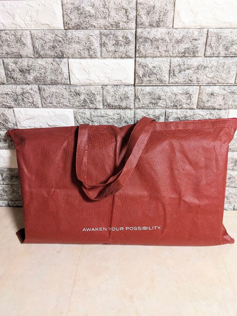 ブレインスリープ　ピロー（9グラデーション） ピローカバー2枚　スタンダード　枕