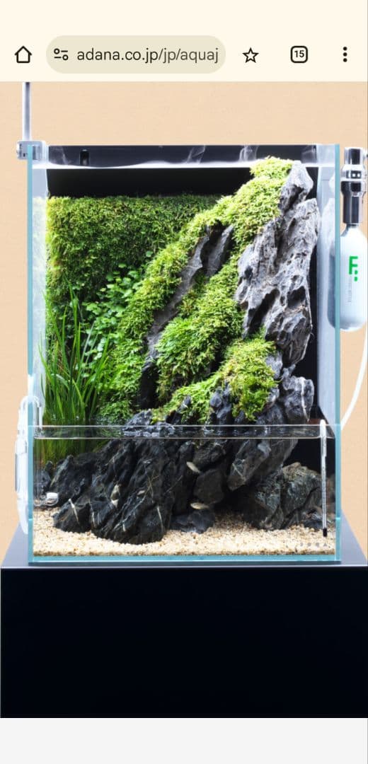 スワン商事 折りたたみ温室（屋外用）ステンカラー色