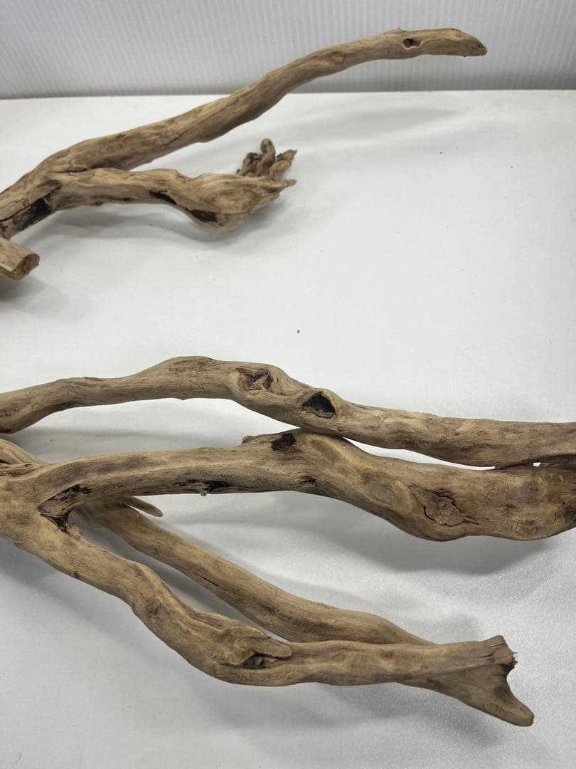 V24特大流木 アク抜き済み流木 爬虫類シェルター 登り木 インテリア 生け花