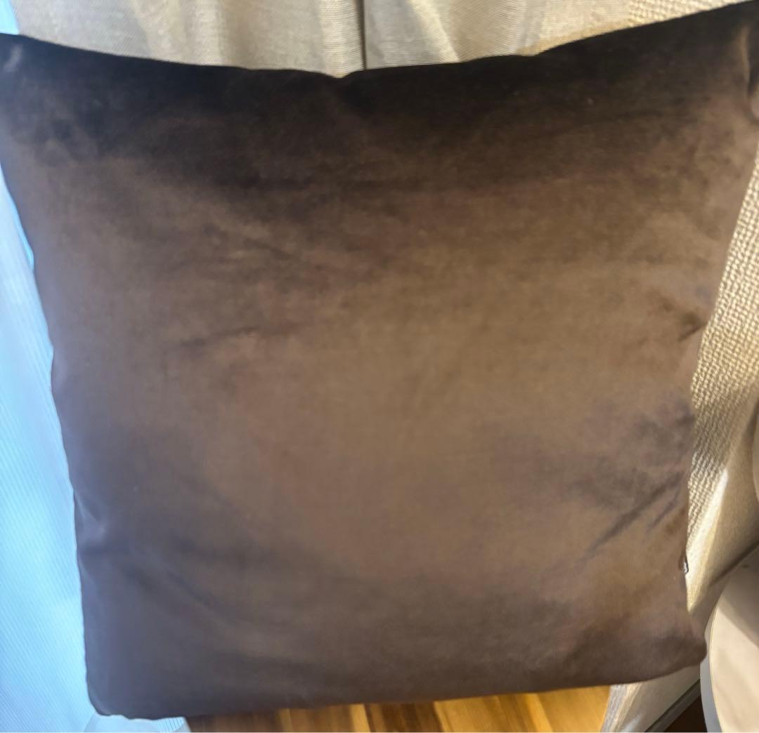 ボーコンセプト　ベルベットクッション