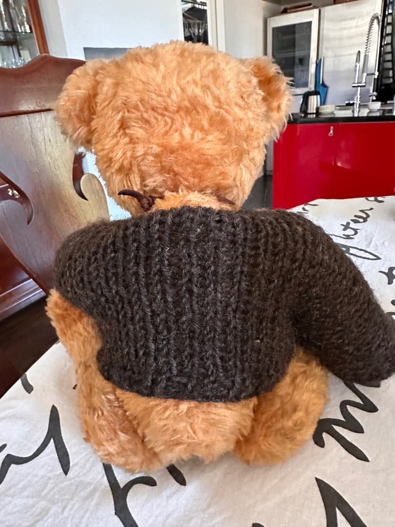 ニュージーランド製 Robin Rive テディベア