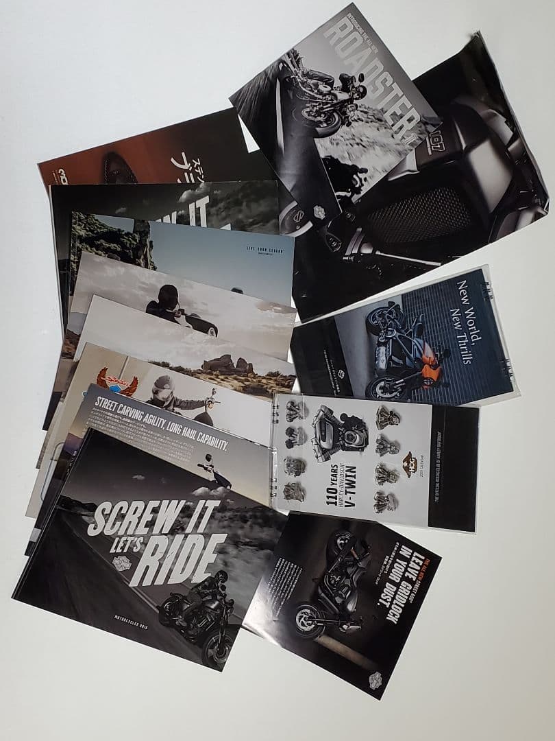 貴重、外車国産車 カタログ250枚1995年~2024年。価値を生かすのは貴方