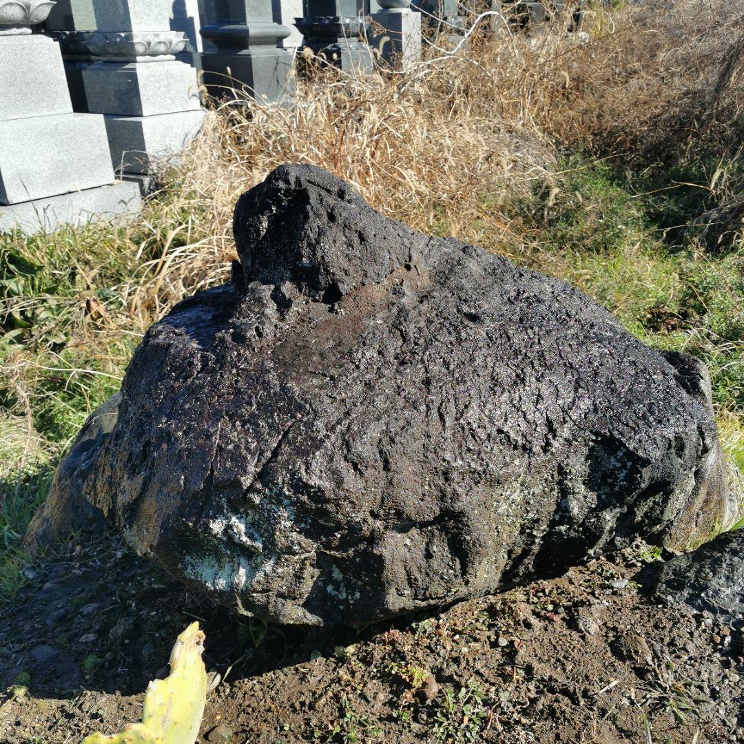 浅間　溶岩石　165キロ　庭石　鑑賞石　石　庭　坪庭　ガーデニング　置物