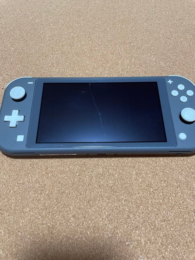 Nintendo Switch Lite グレー 本体　中古品