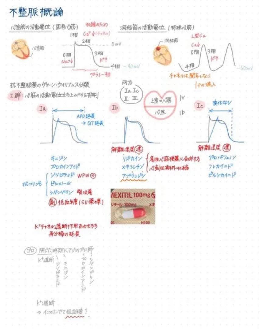 薬剤師国家試験対策 まとめノート 全科目セット 薬学部