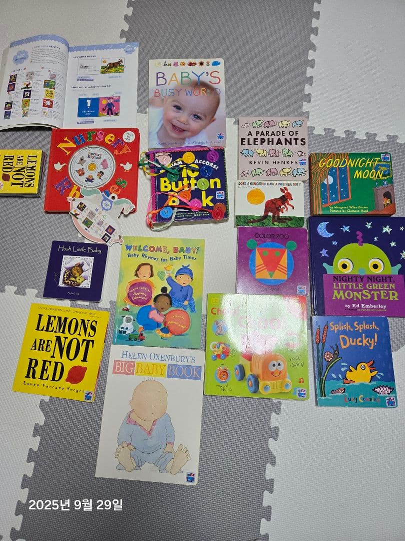 ノブヨンベビー 英語絵本 CD付き 韓国版 正規品 セイペン対応ソングカードあり