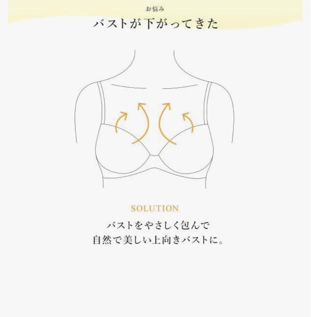 ワコール／ラゼ 大輪のカサブランカが優雅に咲き誇るブラジャーショーツE85-LL