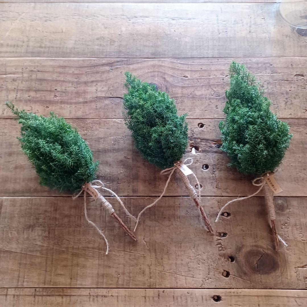 新品 未使用 ドライフラワー スワッグ ツリー 卓上 インテリア 雑貨 店舗什器