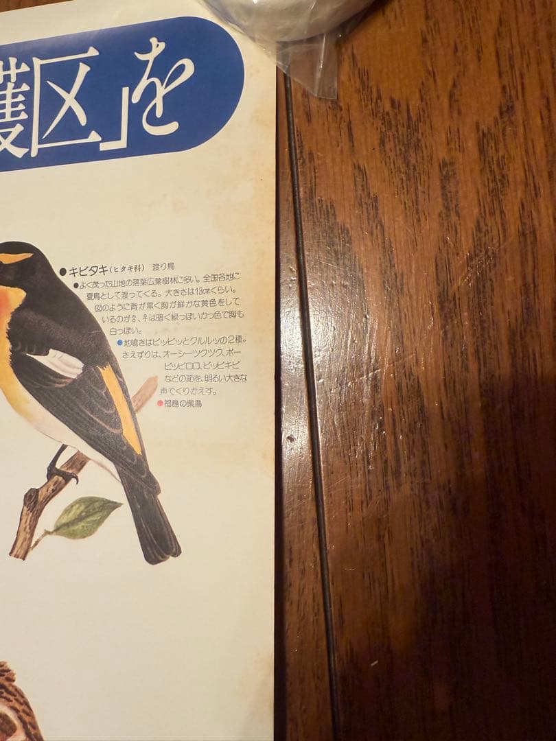 サントリー ポスター3枚セット アホウドリ イヌワシ 日本の県鳥 骨董品