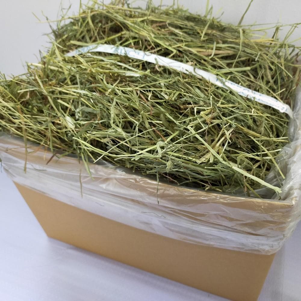 【11/30まで】US産 チモシー 50kg ２番刈り ソフトSプレミアム