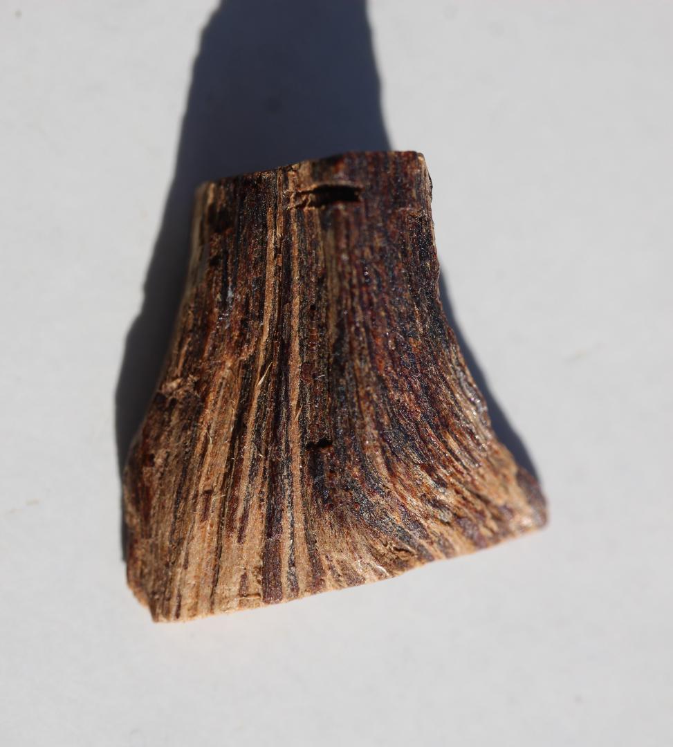 香木 古渡命銘木 「初音」約0.28g 沈香 伽羅 奇南 奇楠 お香 香道