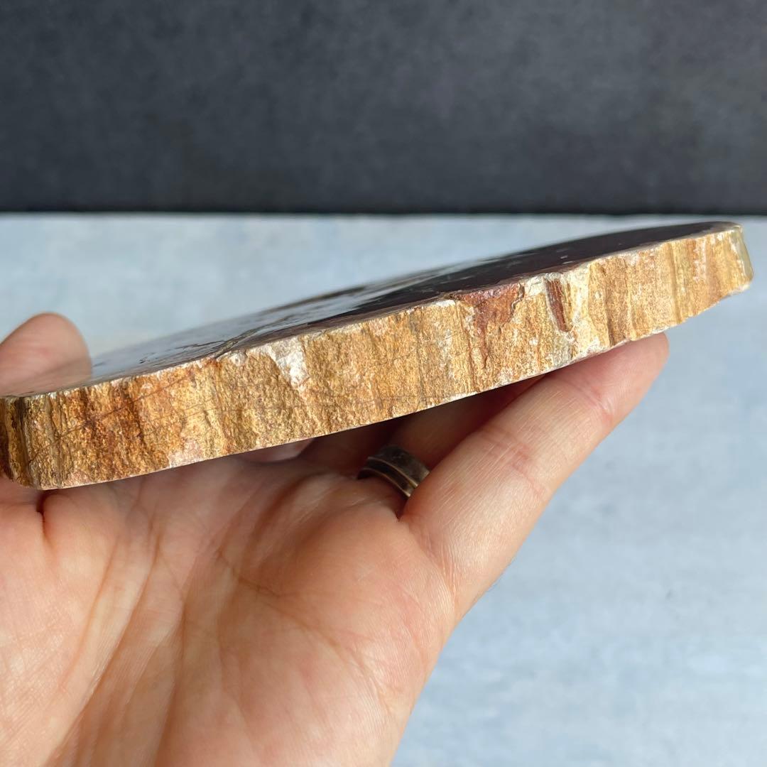 ペトリファイド ウッド スラブ 珪化木 マダガスカル産
