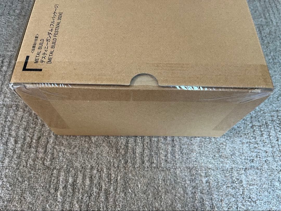 デスティニーガンダム [L BUILD FESTIVAL 2024]