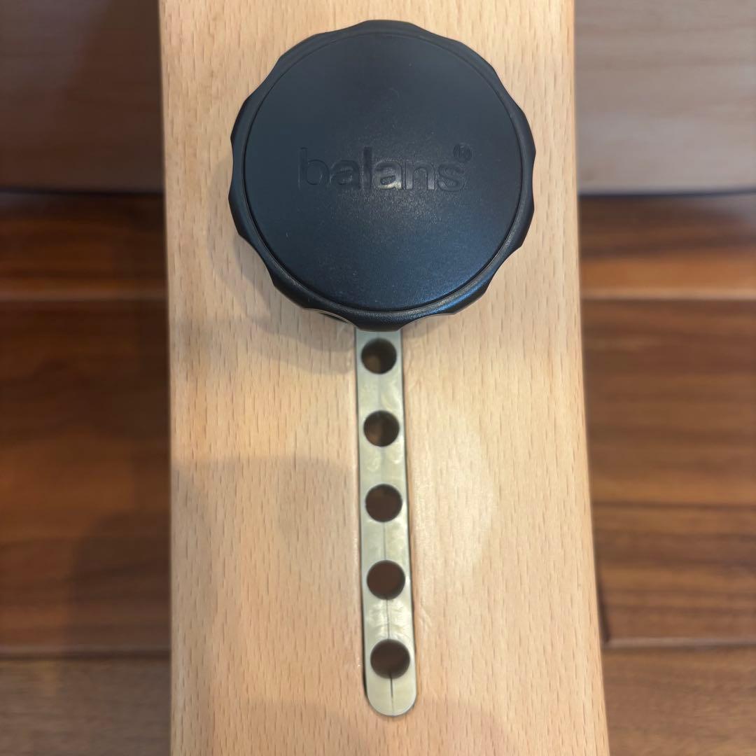 極美品 バランスイージー バランスチェア ネイビー サカモトハウス 日本製