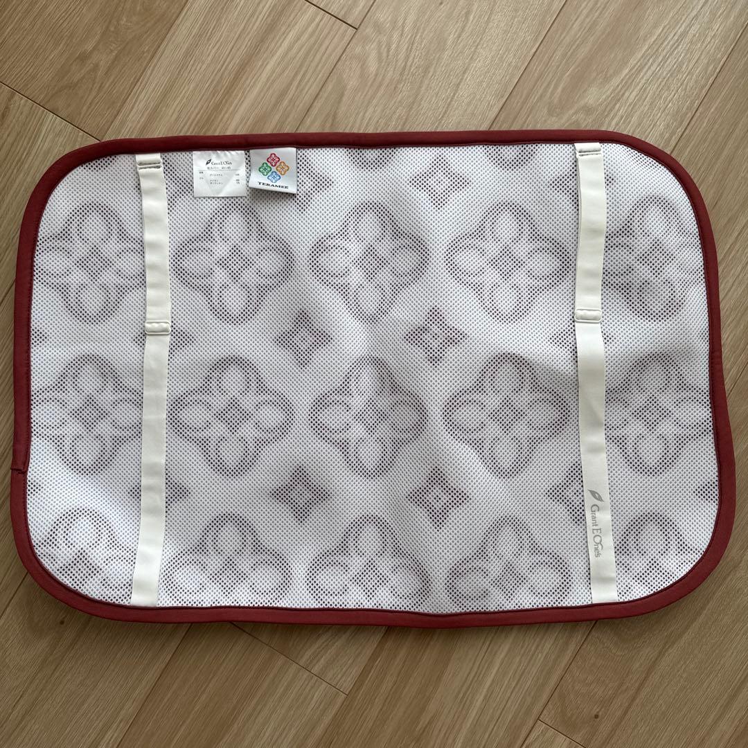 【お値下げ中】TERAMEE グラントイーワンズ　枕カバー 43x63 cm