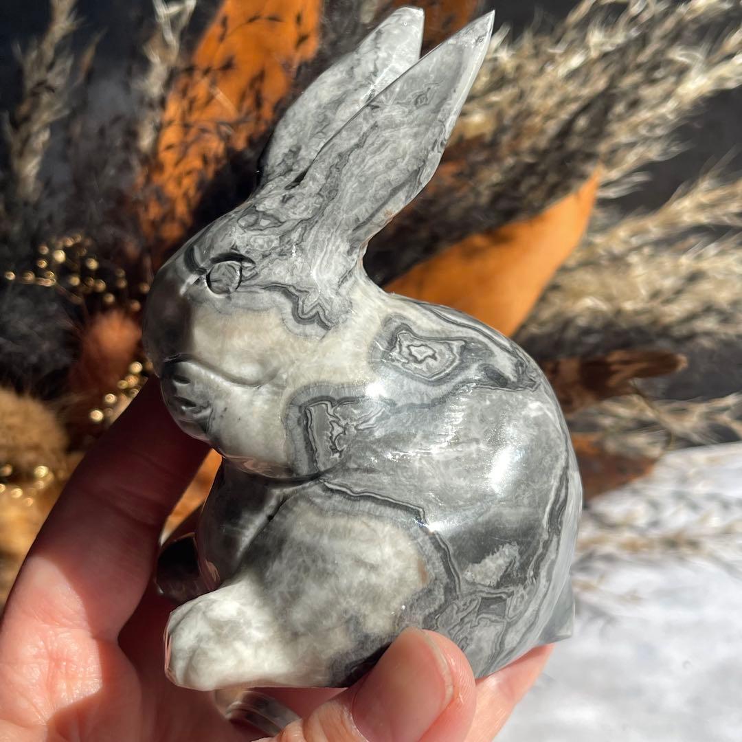 ピカソジャスパー うさぎ ラビット