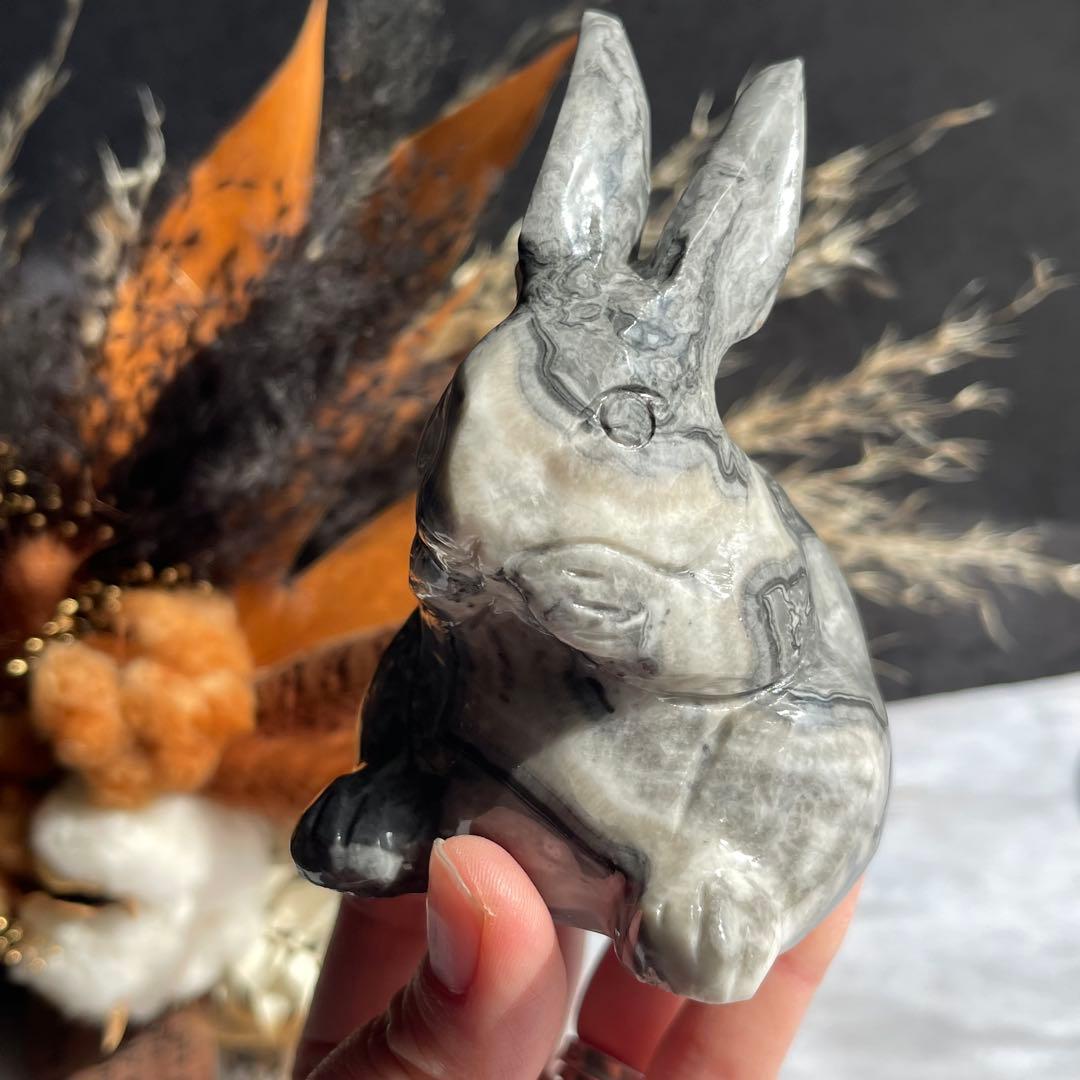 ピカソジャスパー うさぎ ラビット