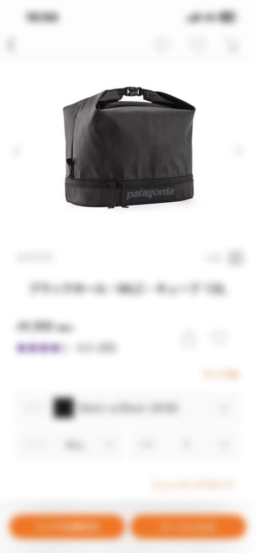 patagonia 黒 トラベルポーチ