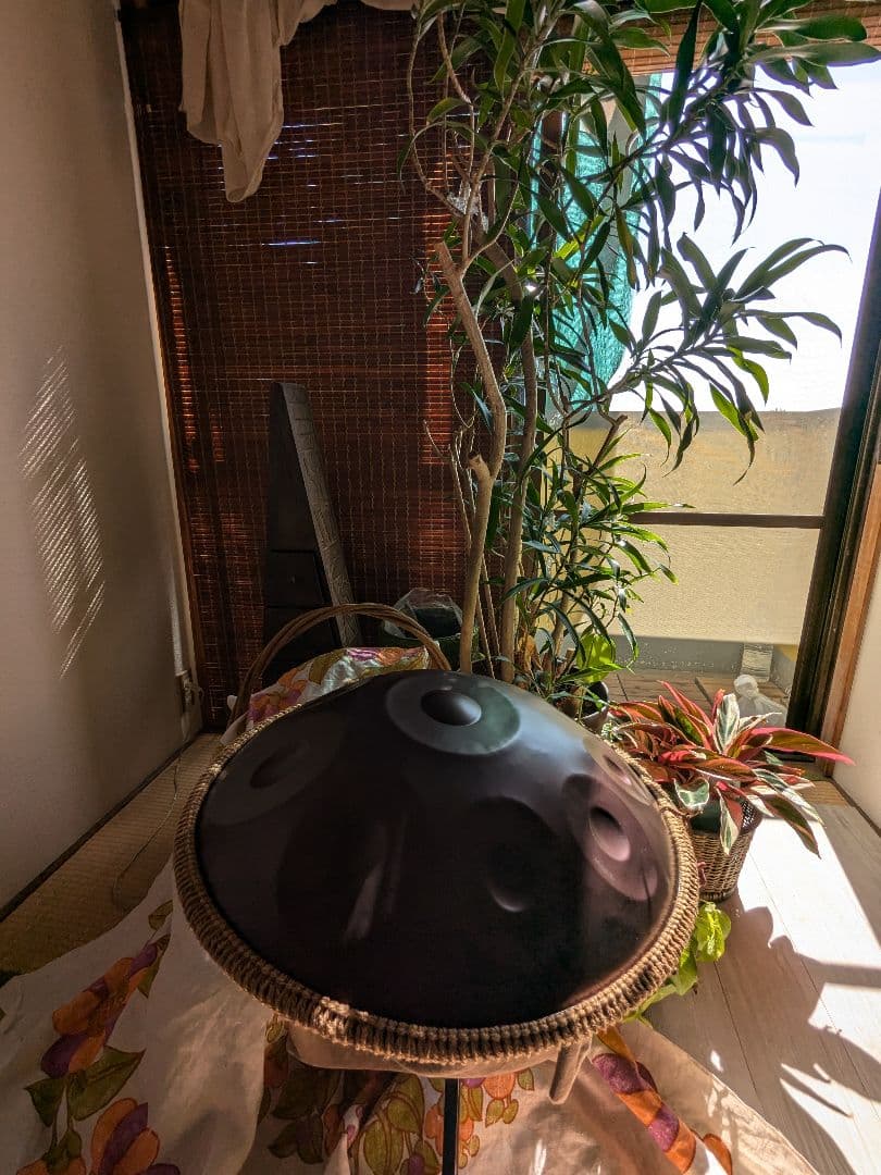 セール◎ハンドパン　10音　22インチ　Dマイナー　 ヨガ　瞑想　楽器