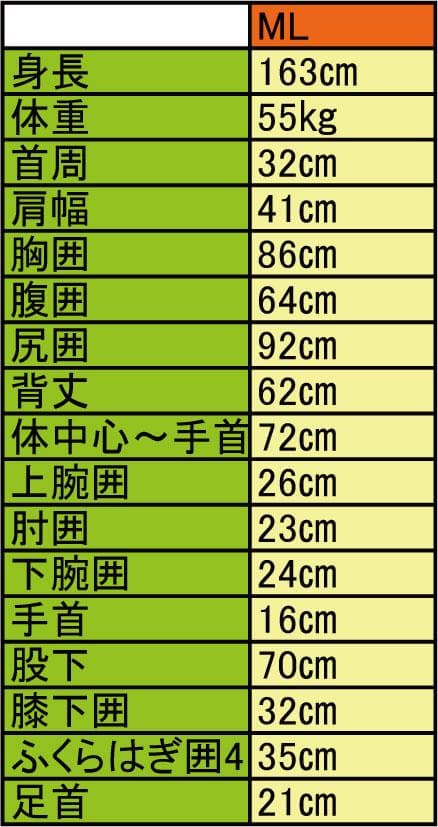 国内生産ALL3mロングジョン&タッパー /クラッシックスタイル/レディースML