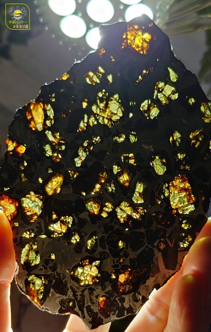 つう✨隕石 Provisional NWA16799 102.75g ⭐