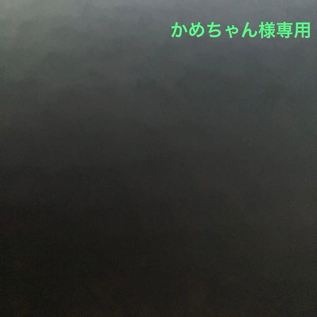 かめちゃん