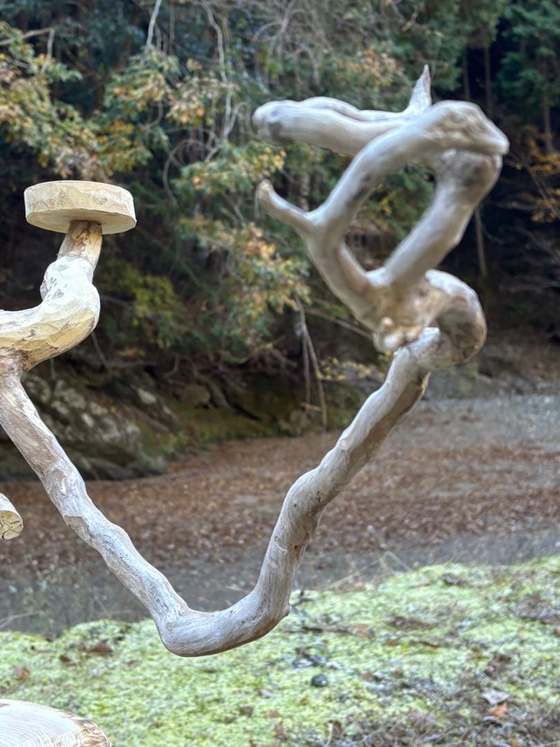 止まり木 kan_oqsm