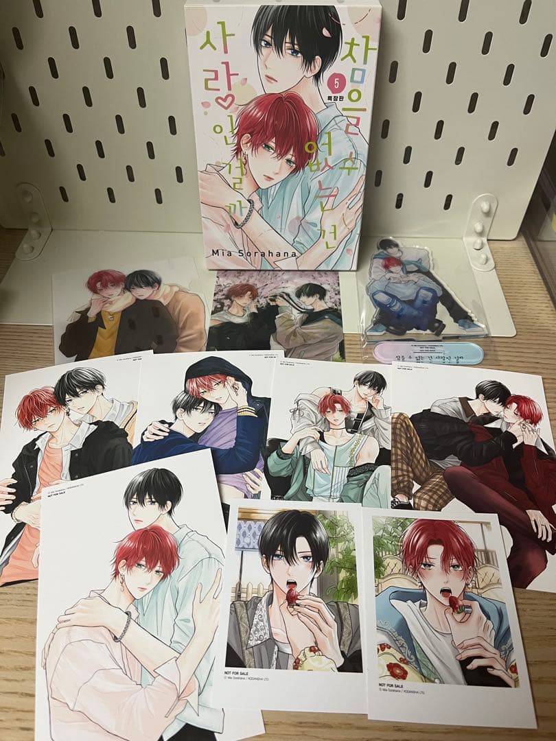 たまらないのは恋なのか 韓国版 5巻 特典グッズ付き