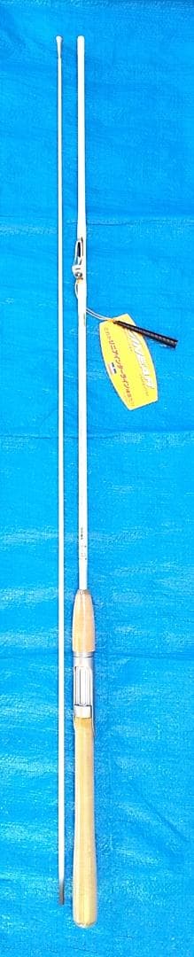 ロッド Daiwa PROCASTER-Z 602MLFS-I INTERLINE