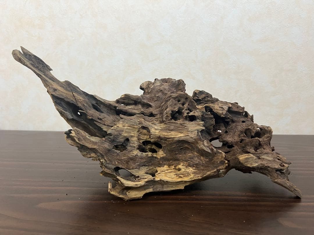 XM-307 流木　マシンガンウッド ブランチウッド　アクアリウム