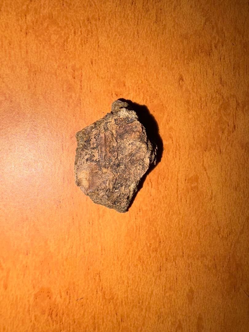 ハドロサウルスの皮膚印象化石 (ウロコの化石)