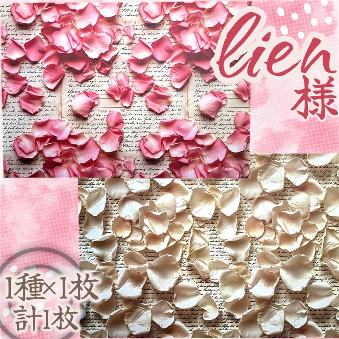 【li-26】lien様　デザインペーパー