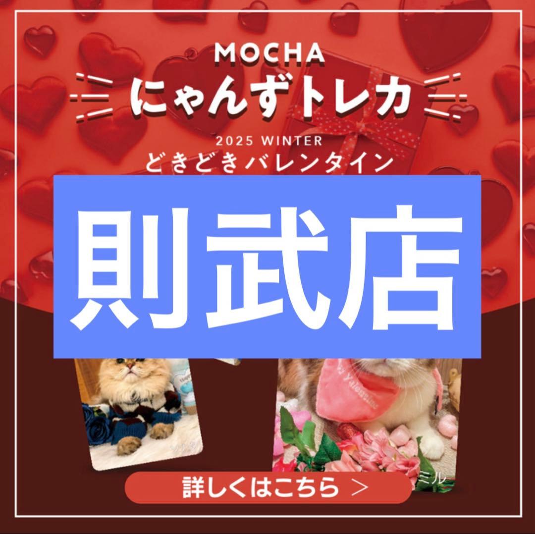 猫カフェmocha にゃんずトレカ　どきどきバレンタイン　名古屋則武新町店