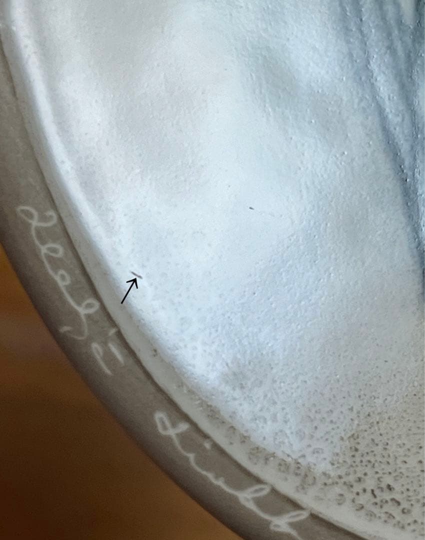 ARABIA ヘルヤ \"Punaiset ruusunnuput\" 陶板画