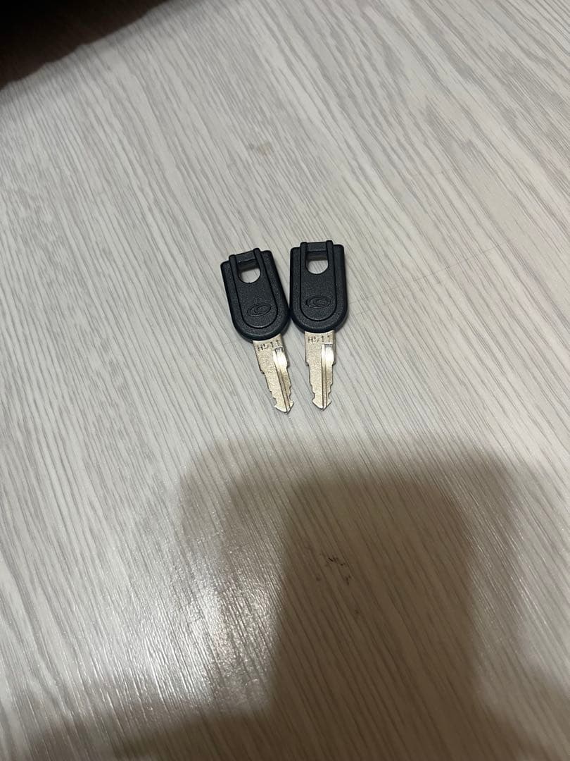 ProtecA プロテカ　PRESCIENプレシェント67L キャリーケース