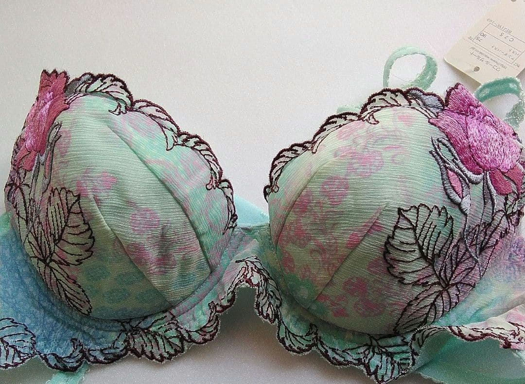 サルート　ブラジャー・ソング(Tバック)・スリップ 3点セット