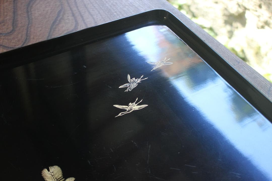 はんなりさまご確認用！