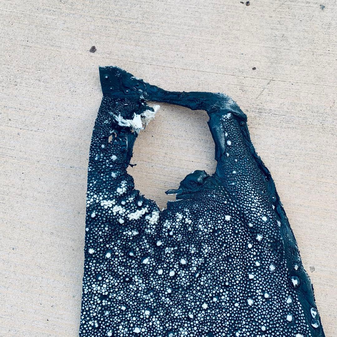 24) イバラエイ スター カイラギ エイ革 stingray ガルーシャ