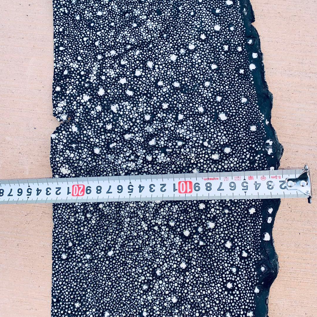 24) イバラエイ スター カイラギ エイ革 stingray ガルーシャ