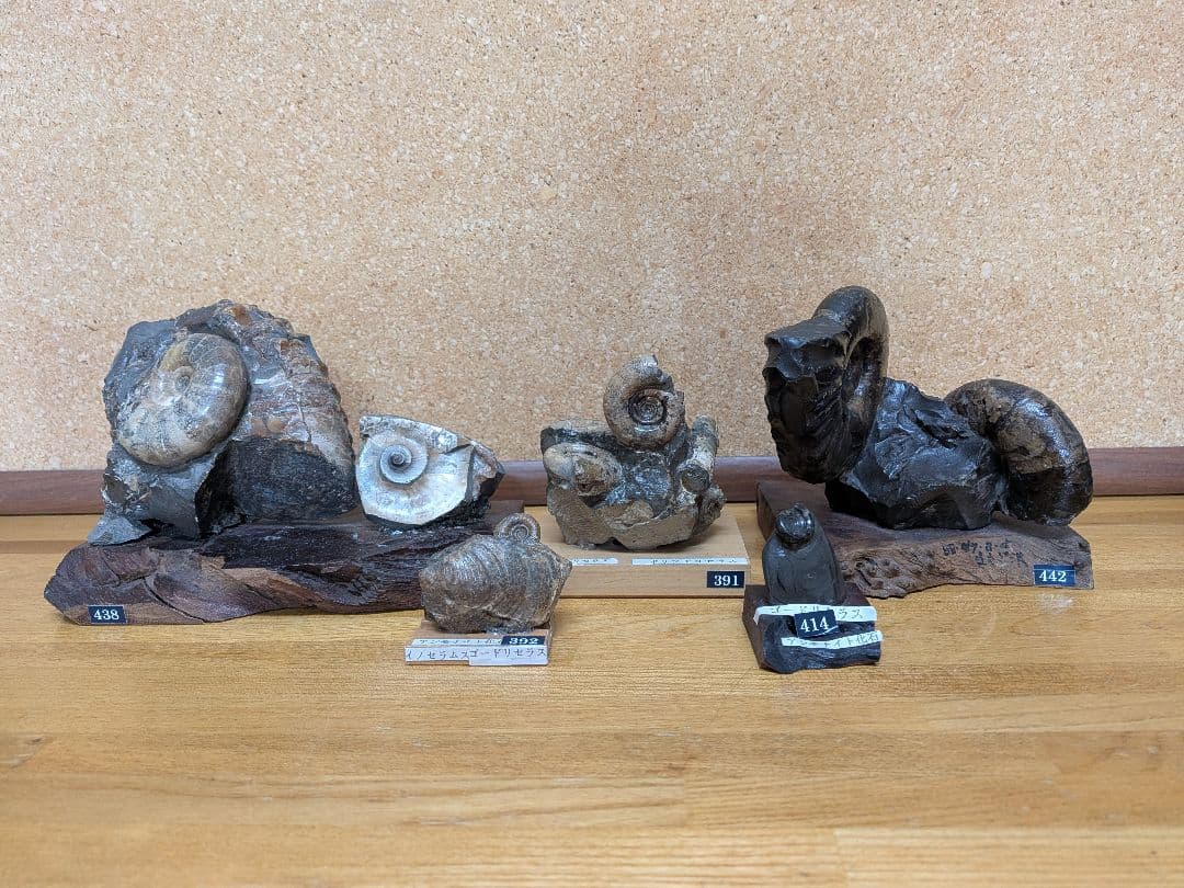 アーサーまとめ売り商品