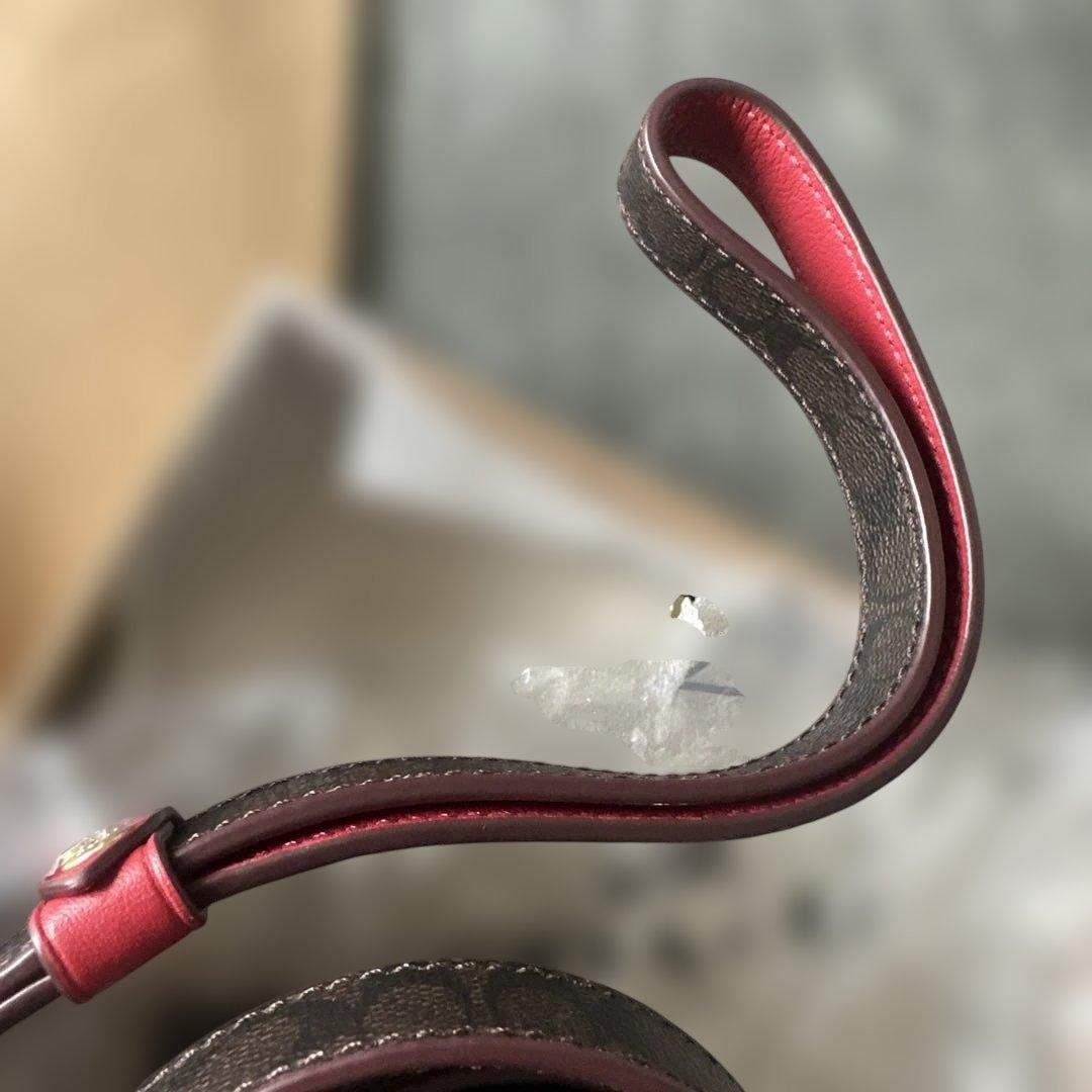 コーチ　Coach 犬用リード 赤