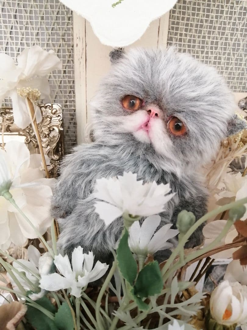 ポッケにゃん♡エキゾチック子猫ちゃん♡アートドール♡ぬいぐるみ♡