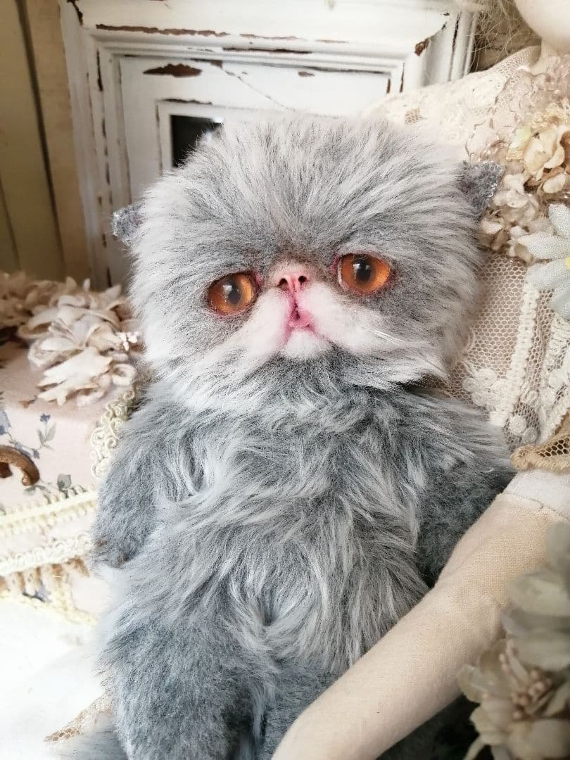 ポッケにゃん♡エキゾチック子猫ちゃん♡アートドール♡ぬいぐるみ♡