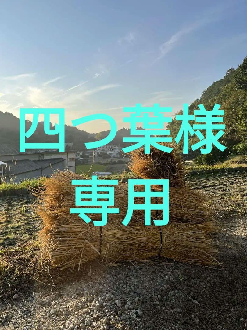 農薬不使用天日干し稲藁80束(20束×4) (長さ約100cm！) 200サイズ