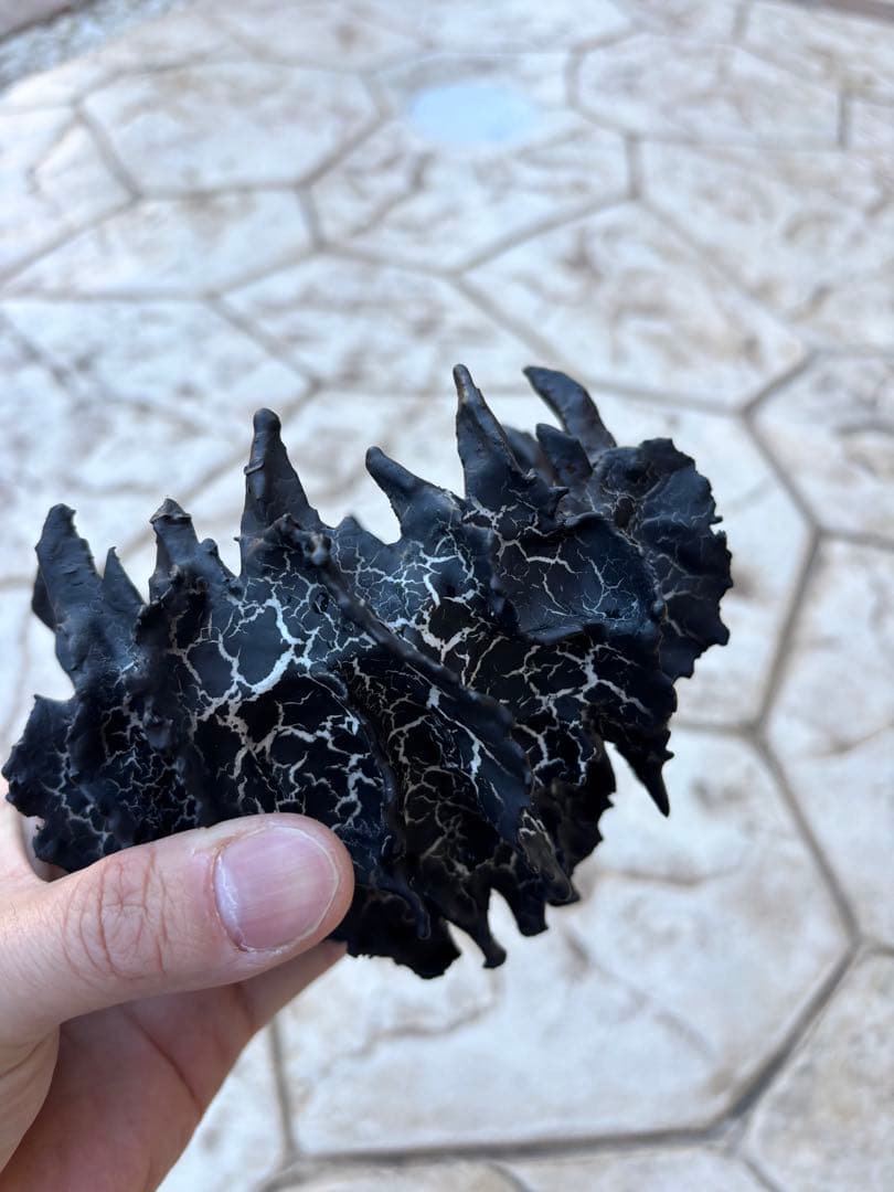 鉢・プランター Five Elements Plants Ancient Eggs Pot